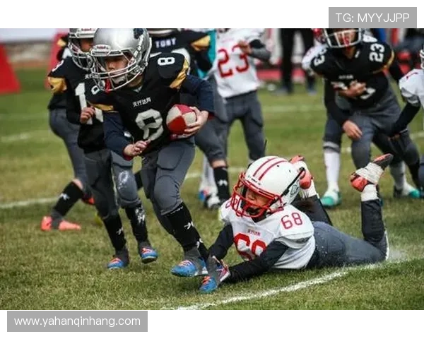 橄榄球运动员完整名单及各位置球员详细介绍和数据分析